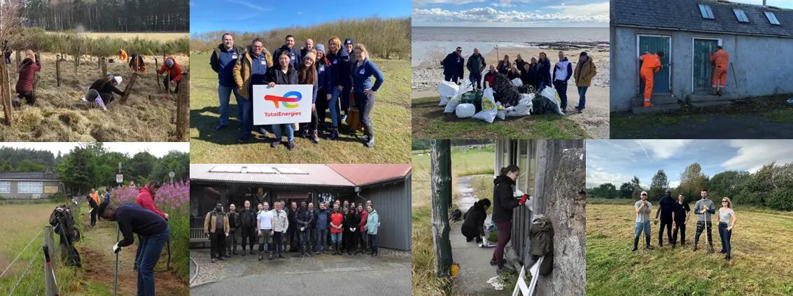 Collage of employees volunteering. Painting doors, planting trees, digging weeds
