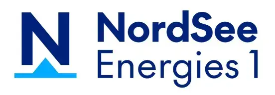 nse 1 logo