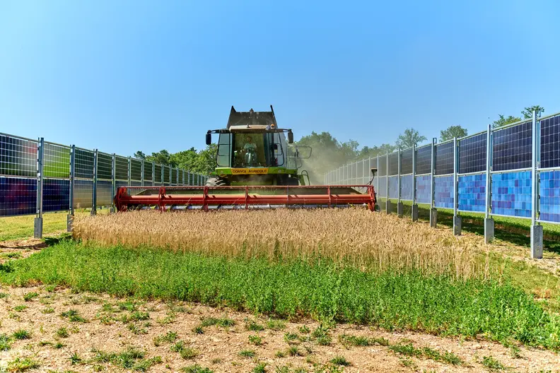 moisson parc photovoltaique chanay