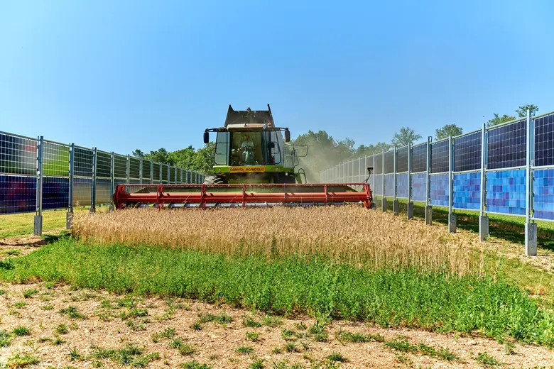moisson parc photovoltaique chanay