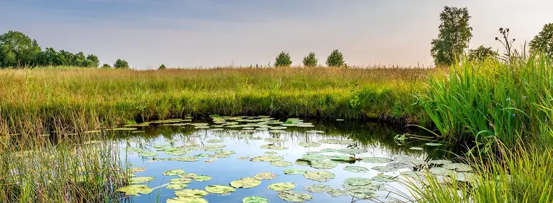header engagement biodiversité