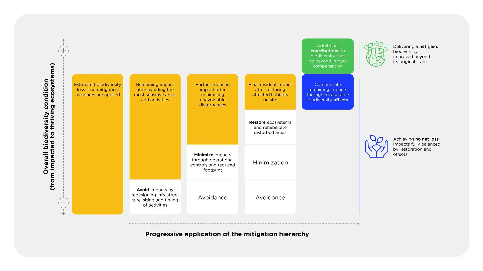 Biodiveristy net gain infographic - see description hereafter
