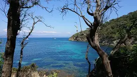 Parc naturel de Port-Cros.Depuis 1992, Total Foundation apporte son soutien afin de préserver la biodiversité et sensibiliser le public au respect de l'environnement.