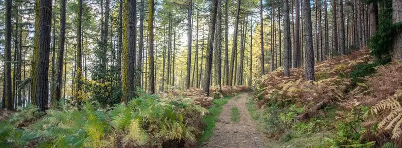 cover-environment 1360x500