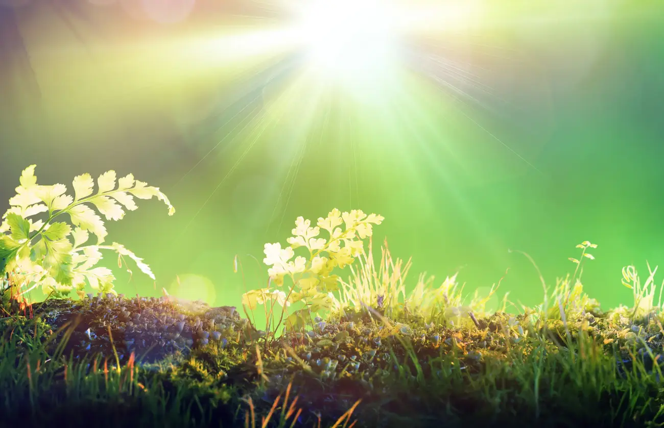 Environnement