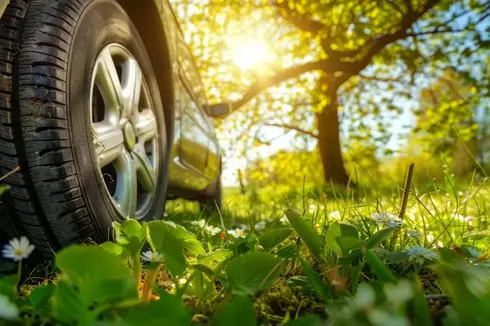 pneu voiture en forêt
