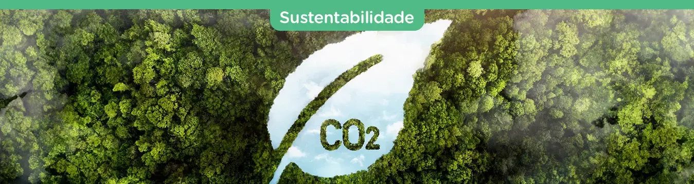 Neutralidade de Carbono: o que é a NetZero e como alcançá-la?