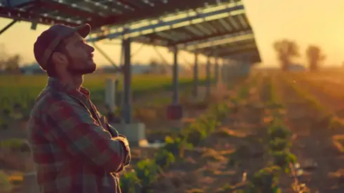 Les points de vigilance sur l'agrivoltaïsme