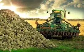 Total agriculture