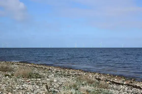 reersø jammerland bugt