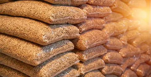 adobestock_548027640_1170x600.jpg