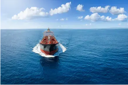 bateau marine professionnel - 33%