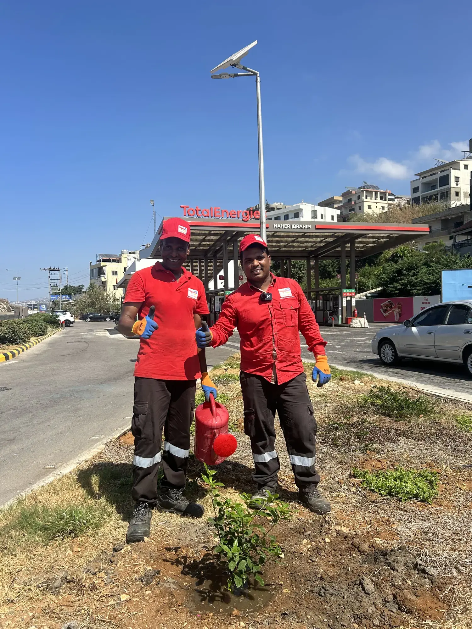 Plantation Project 2025