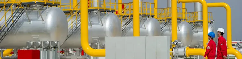 Sulige South Gas Project in China
