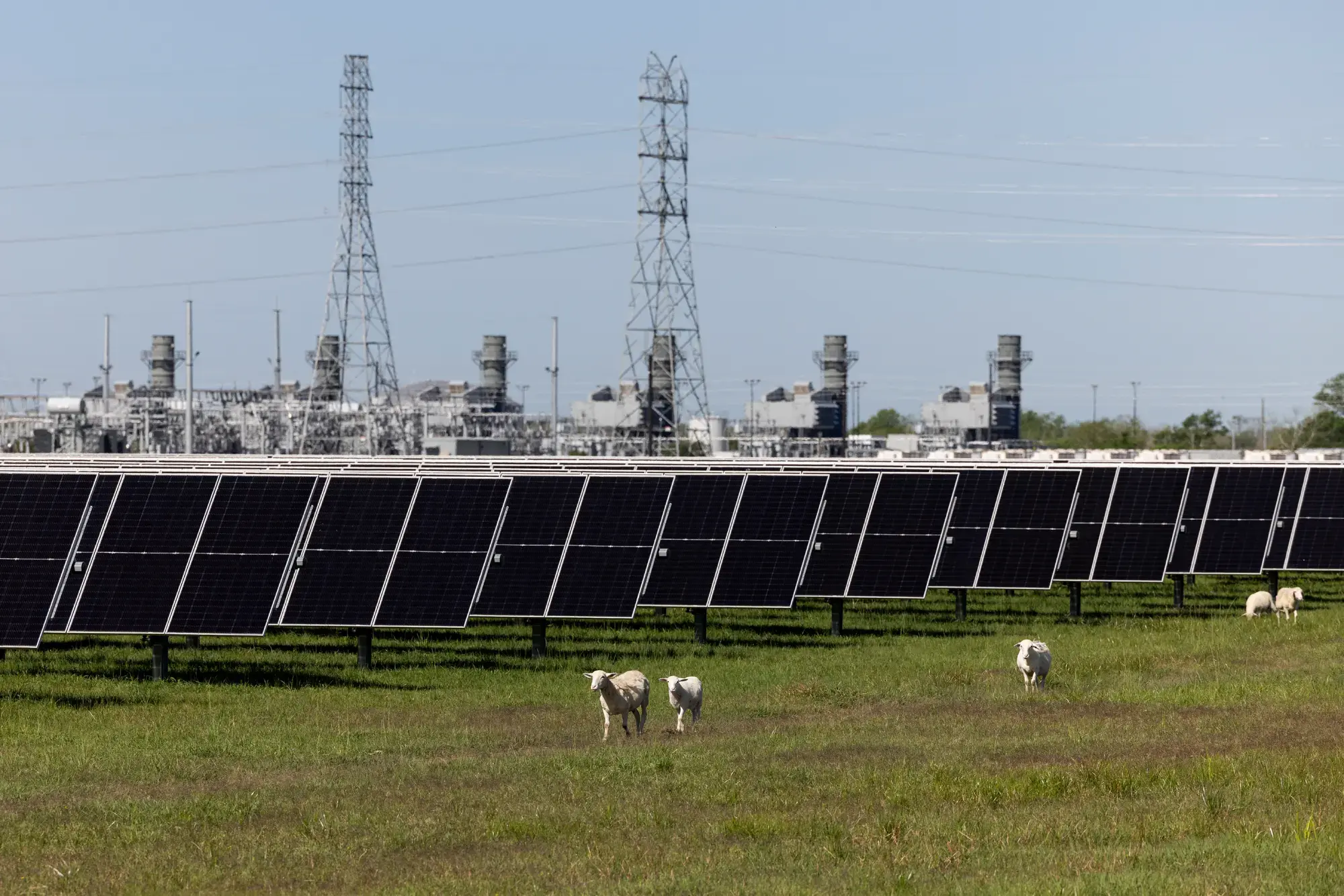 Myrtle Solar Farm (Texas, USA)