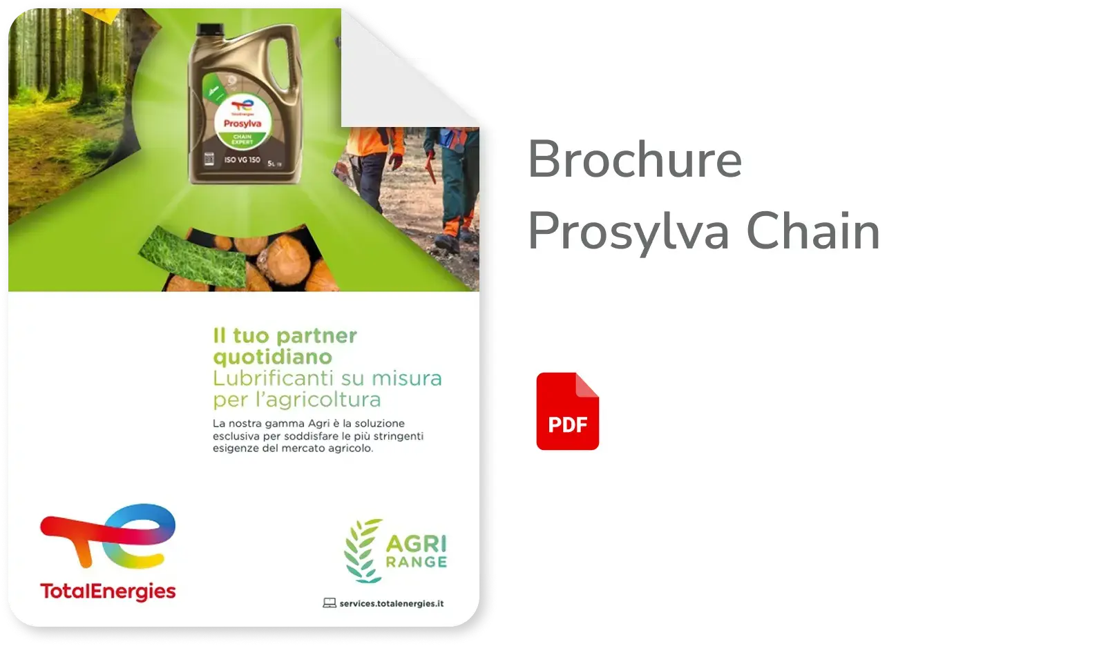 Scopri la brochure prosylva chain