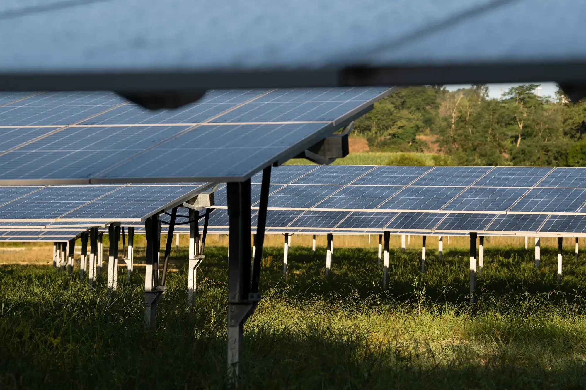 Centrale solaire au sol de Monein, Pyrénées Atlantique-France, développée par Total Quadran