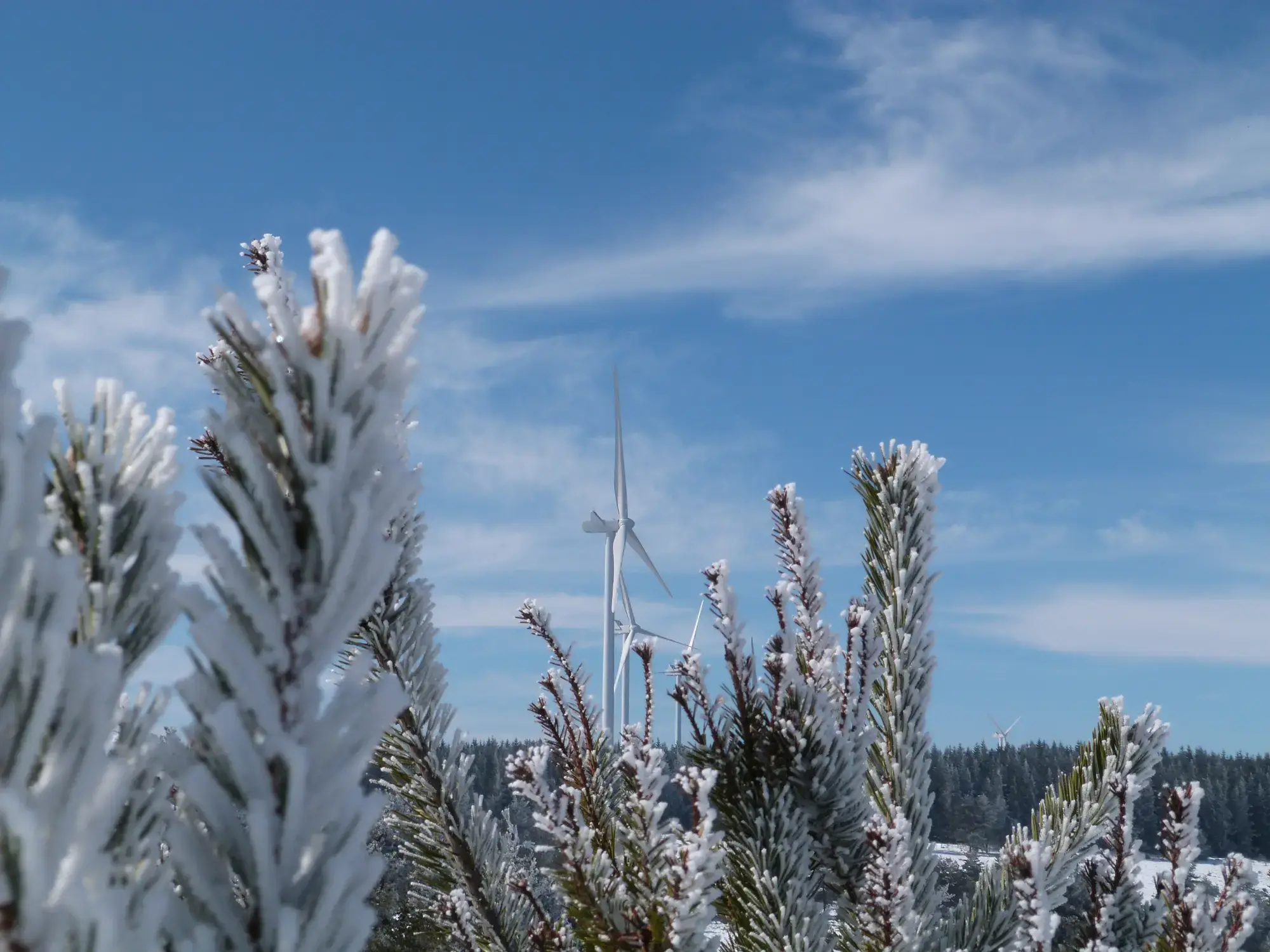 Parc éolien Le Born Pelouse en Lozère
