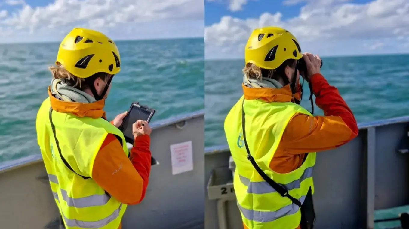 untitled design (21)