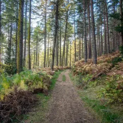 totalenergies_illustration-nature_2024_003