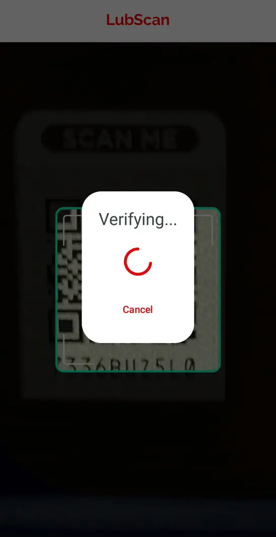 lubscan_4-6 verifying