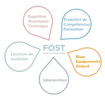 5 activités du FOST