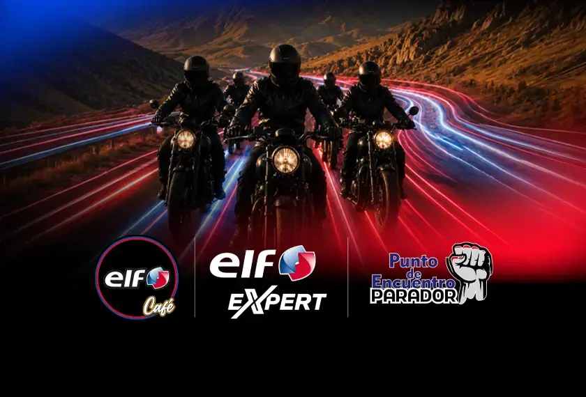 ELF EXPERT Mendoza aceite de moto