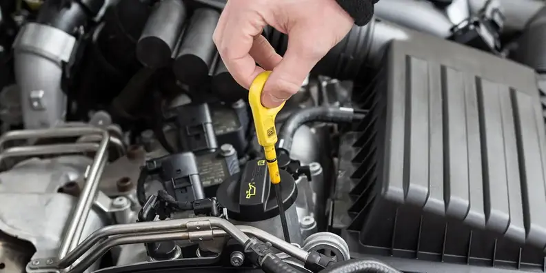 image_processing20190806-7342-mic20t