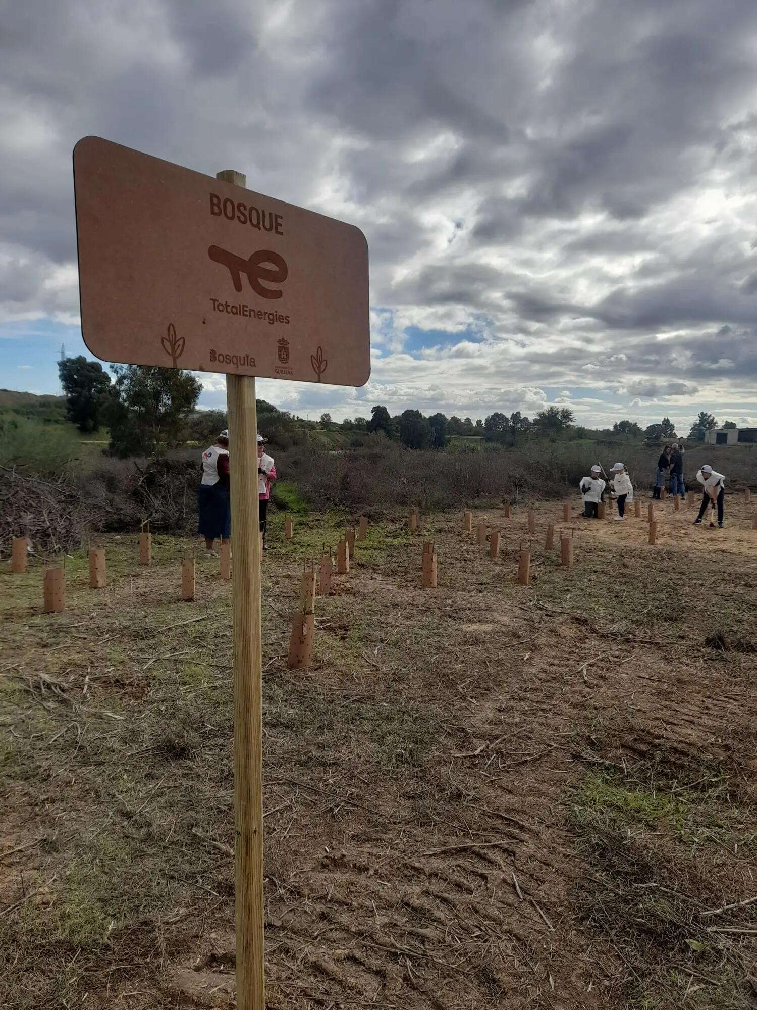 totalenergies-forest