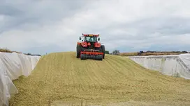 Sillage on field