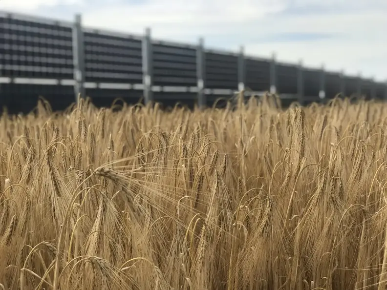 Champs agrivoltaique Channay et valpuiseaux