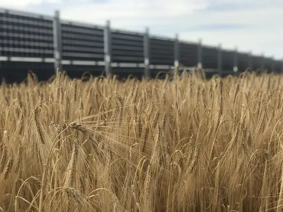 Champs agrivoltaique Channay et valpuiseaux