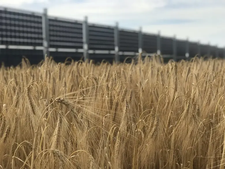 Champs agrivoltaique Channay et valpuiseaux