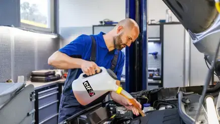 ELF Landing Page Hintergrund