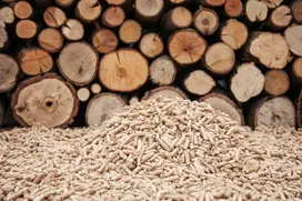 bois_pellets_buche.jpg