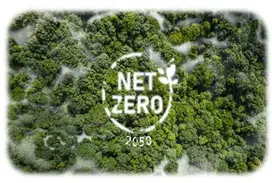 White Net Zero text within green tree tops with mist