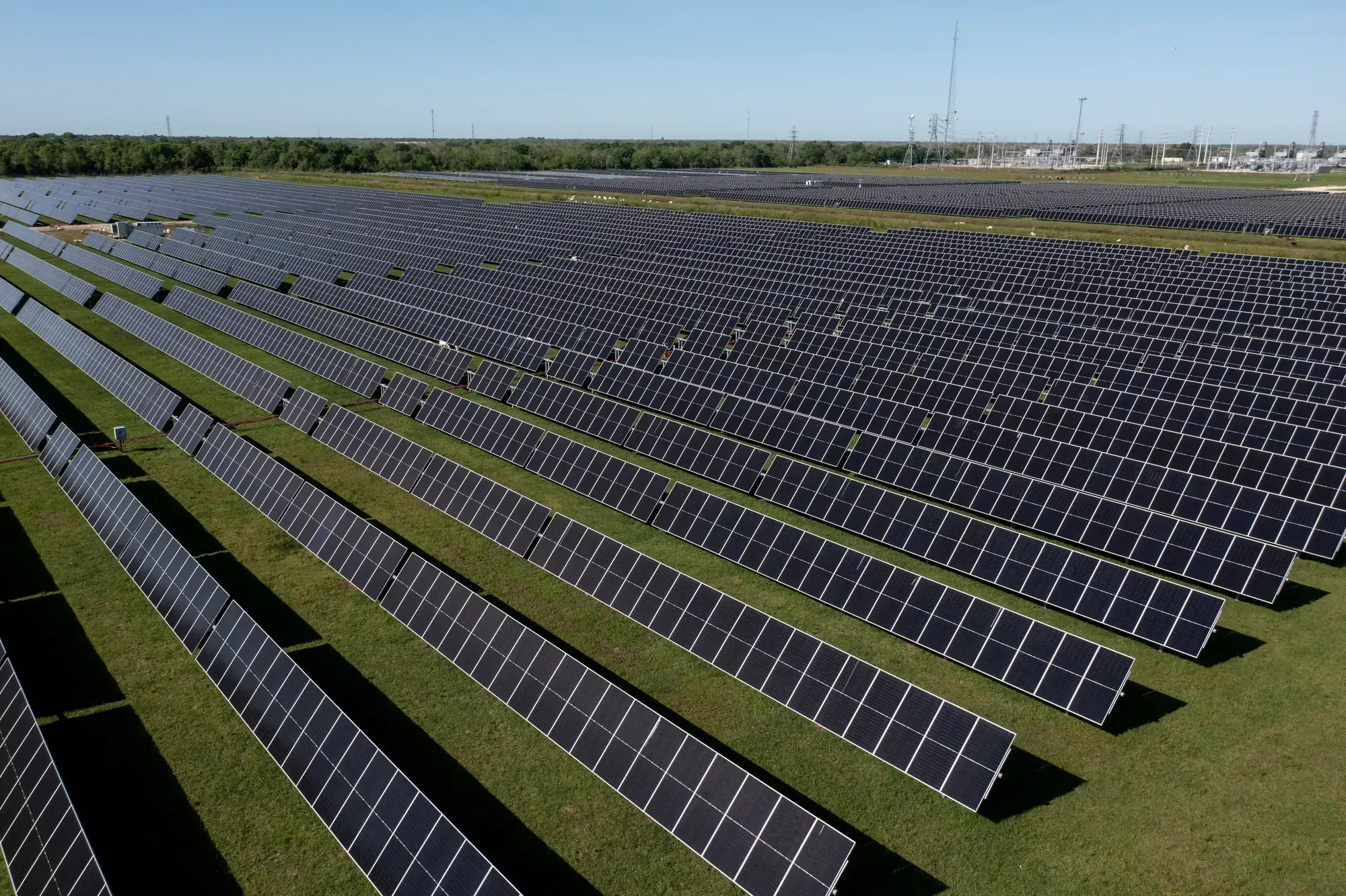 Myrtle Solar Farm (Texas, USA)