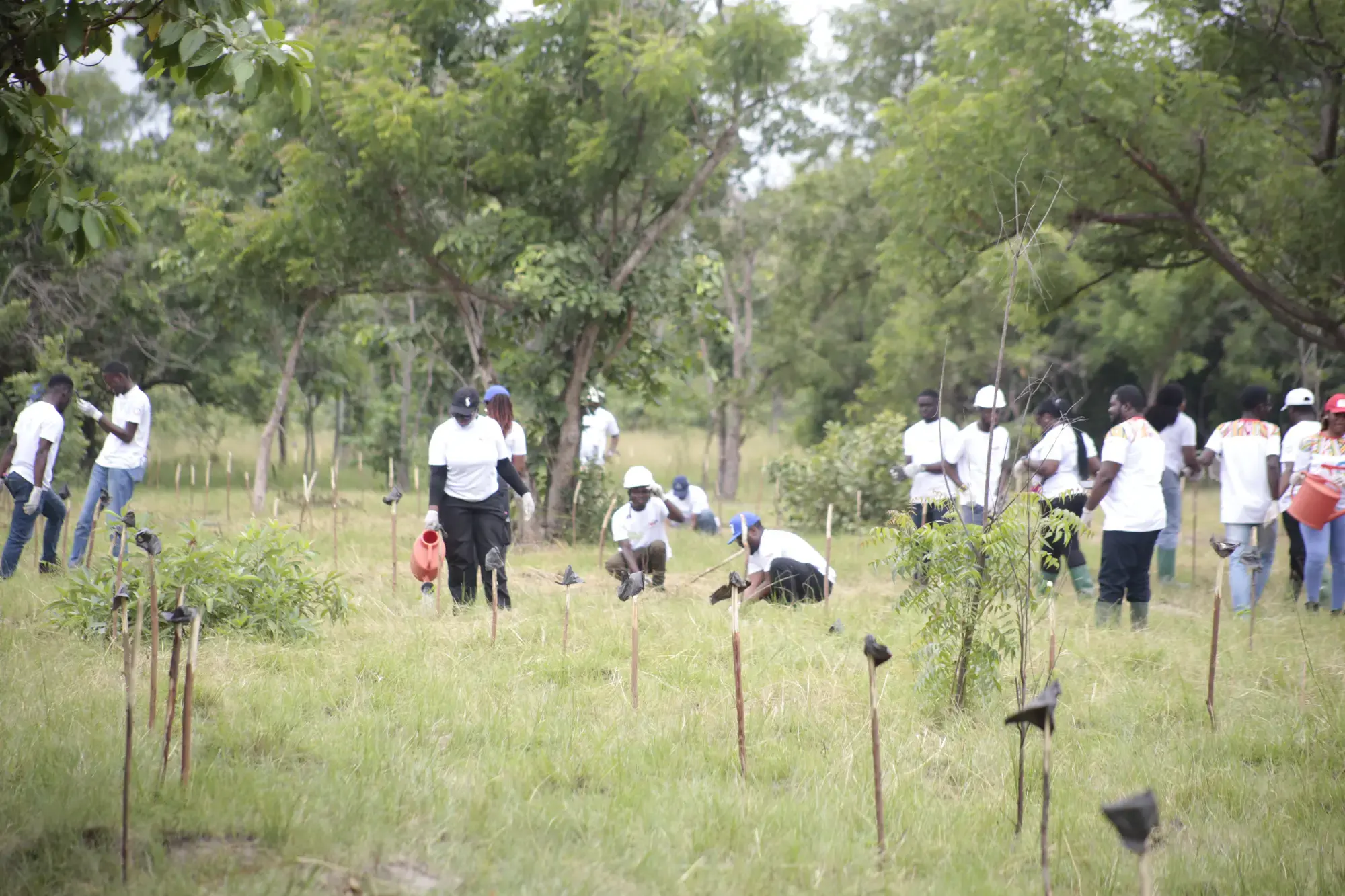 Green Ghana