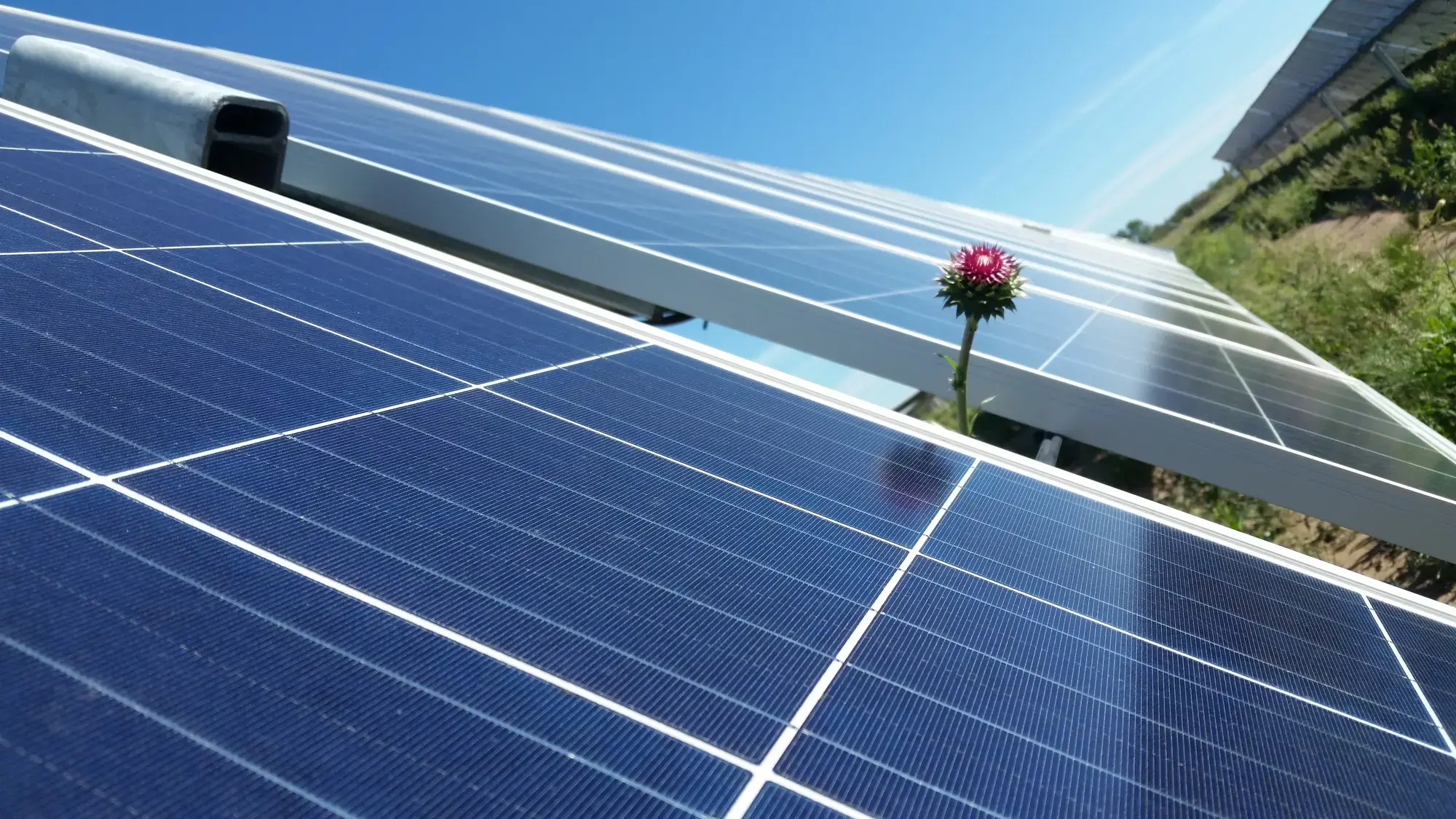 Parque Caldenes del Oeste - Energías renovables TotalEnergies Argentina