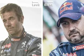 loeb-elena