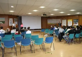 stage de seconde