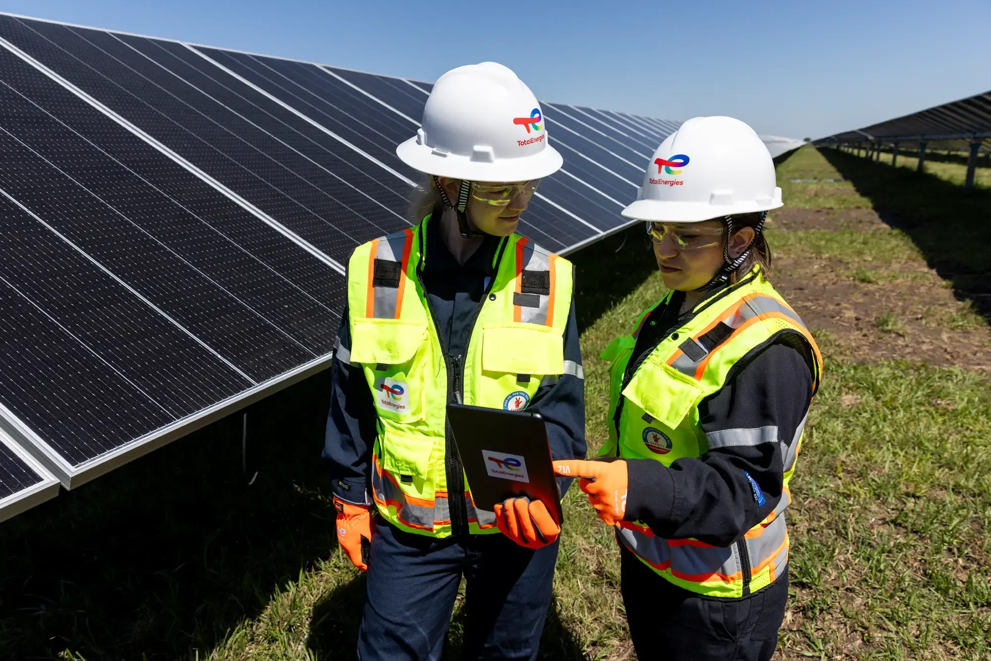Danish Fields Solar Farm (Texas, USA)