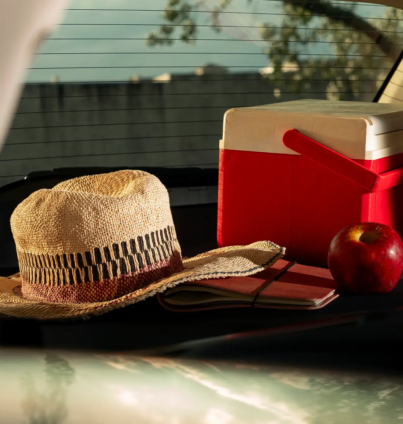 Prigrizki, pijača in zabava