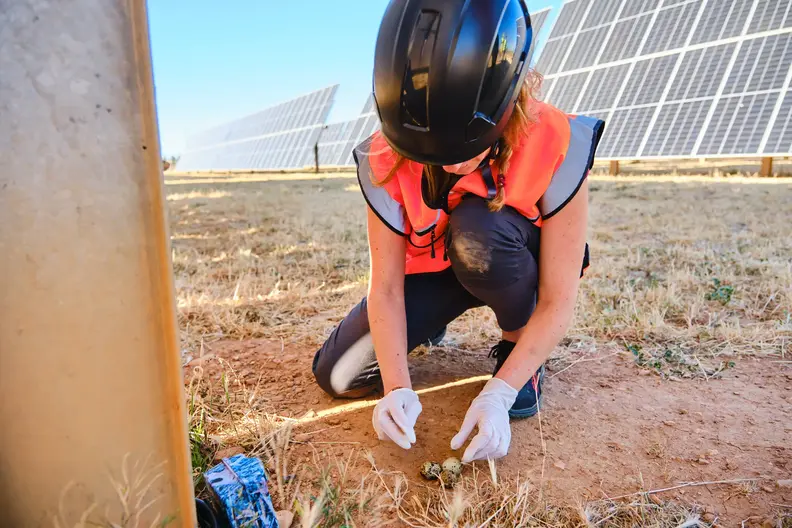 catedra-steppe-forward-220426