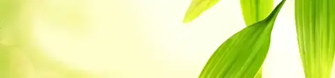 TotalEnergies​ preocupa-se com o meio ambiente