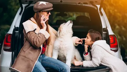 Viaje en auto con mascotas.