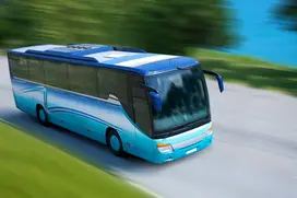 Camions &amp; bus