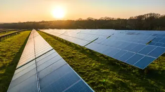 A field of solar panels with a sunset in the background.