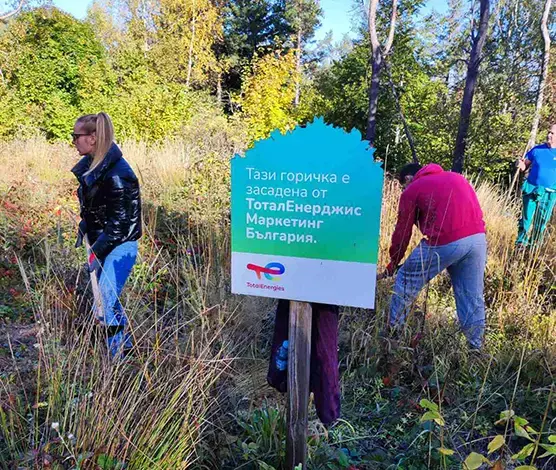 Tending our forest in Vitosha Mountain