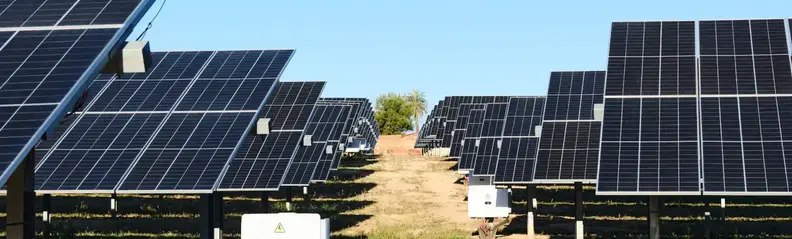 Varias placas solares colocadas en una extensión de campo